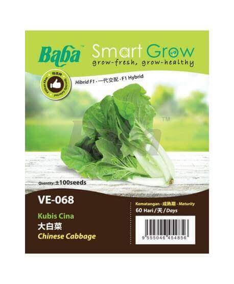 BABA VE-068 F1 CHINESE CABBAGE