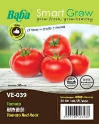 BABA VE-039 RED ROCK TOMATO