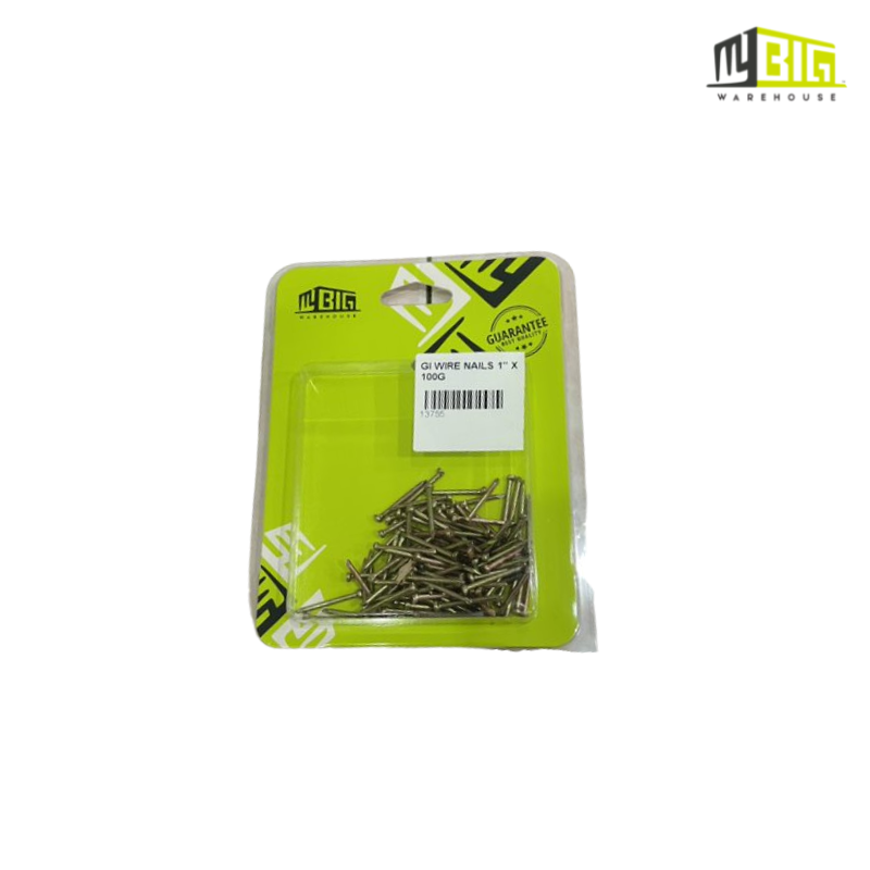 GI WIRE NAILS 1” X 100G