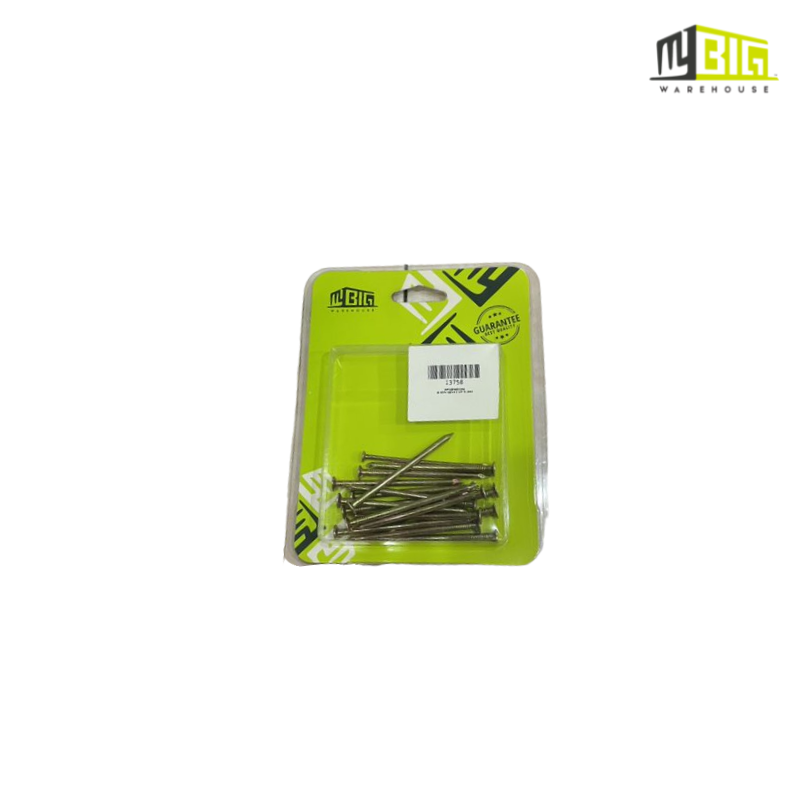 GI WIRE NAILS 2” X 100G